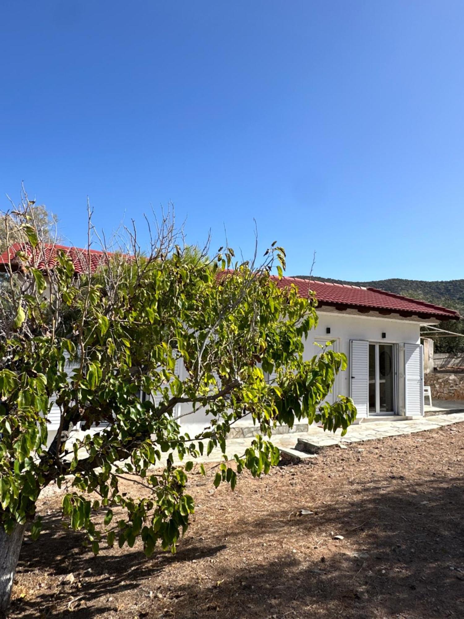 Coast Cottage Porto Rafti-Avlaki 外观 照片